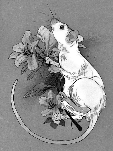 Rattus Rattus, Rat Tattoo, Tier Tattoo, Mouse Tattoos, Animal Illustration Art, Animal Doodles, Animals Artwork, Animal Sketches, Tattoo Design Drawings