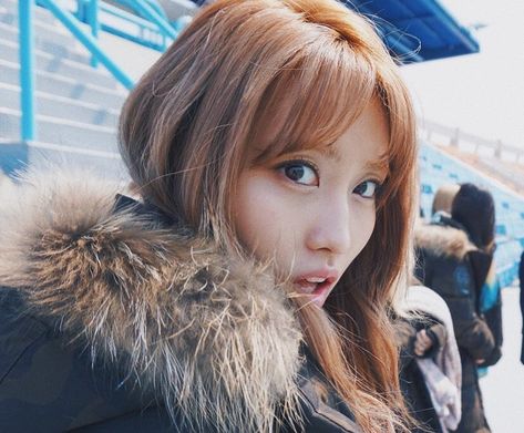 i found some old jype fans updates for momo’s bday 😂 i’m posting it,, if the owner doesn’t like the pictures she can delete them ! ù.ú -… Momo Twice Selca, Hirai Momo Icons, Twice Momo Icons, Momo Twice Icons, Lq Pfp, Jyp Entertainment, Momo Sana, Twice Momo, Momo Twice