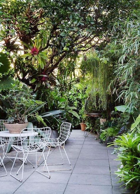 Eight Modern Urban Jungle Patios (Photo via The Design Files) @idlehandsawake Sydney Gardens, Lots Of Plants, Small Courtyard Gardens, Jungle Gardens, Tables And Chairs, City Garden, Small Space Gardening, Courtyard Garden, The Design Files