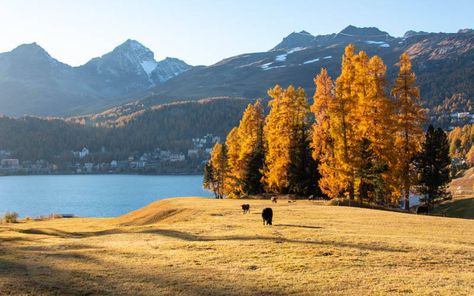 October in Switzerland - 10 Best Destinations for Fall Hiking Switzerland In October, Switzerland October, St Moritz Switzerland, Switzerland Destinations, Switzerland Hiking, Switzerland Mountains, Switzerland Itinerary, 2024 Travel, Europe 2024