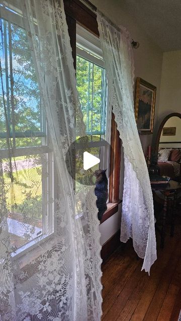 Alecia on Instagram: "I just really love a lace curtain, an open window and a breeze 🤍

Windows open | Country Home | Farmhouse | Vintage Home | Old House | Original Woodwork | Bedroom | Wood Tones | Breeze | Antique Furniture | Simple Moments | Simple Life

#windowsopen #breeze #bedroom #mycountryhome #countryhomestyle #americanfarmhousestyle #countryliving #oldfarmhouse #vintagefarmhouse #windowview #Woodwork #simplelife #simpleliving" An Open Window, American Farmhouse Style, Lace Curtain, Farmhouse Vintage, Old Farm Houses, Wood Tones, Lace Curtains, Wood Bedroom, Window View