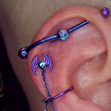 Mel Jardines Piercer 👽 on Instagram: "Aquele Glow Up INCRÍVEL 💜💙
 (passe a foto pro lado)

@xriic veio de SP pra fazer esse projetinho auricular maravilhoso comigo ! Muito obrigado por me escolher Ricardo ♡

Transversal customizado, alargador,  tragus e conch atualizados por mim .
Helix e 2° furo fresh. 

Sigo apaixonada por essa composição!! 
O que vocês acharam ?

-----------

👉🏼 Quer aprender a montar joias exóticas e personalizadas para cada cliente?
No meu workshop " Piercing exótico - O seu diferencial " você aprende isso e muito mais. 
- link na bio ou me chama no direct.

-----------

Quer ter um projeto exclusivo? Me chama 31 9 8306-8841 (link na bio)

-----------

#transversal #transversalpiercing #conch
#helix #alargador #tragus #piercer #projetoauricular #melbodypiercer #m Glow Up, Tragus, On Instagram