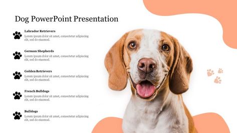 Dog Presentation, Powerpoint Slide Designs, Presentation Slides Templates, Powerpoint Slide, Slide Template, Canva Design, Slide Design, Powerpoint Presentation Templates, Presentation Slides