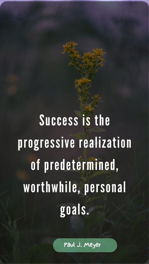 Success is the progressive realization of predetermined, worthwhile, personal goals. Always Be Grateful, Grateful For You, Personal Goals, Our Life, No Worries, Life Quotes, Quotes