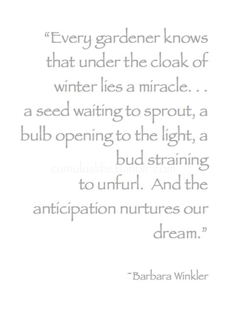 Winter *❄️~*.Wishes & Dreams.*~❄️*  "Every gardener knows that under the cloak of winter lies a miracle. . . "  ~Barbara Winkler #Winter_Quote Winter Garden Quotes, Potted Bulbs, Springtime Quotes, Garden Journaling, Garden Sayings, Surviving Winter, Winter Poetry, Winter Quote, Hello January