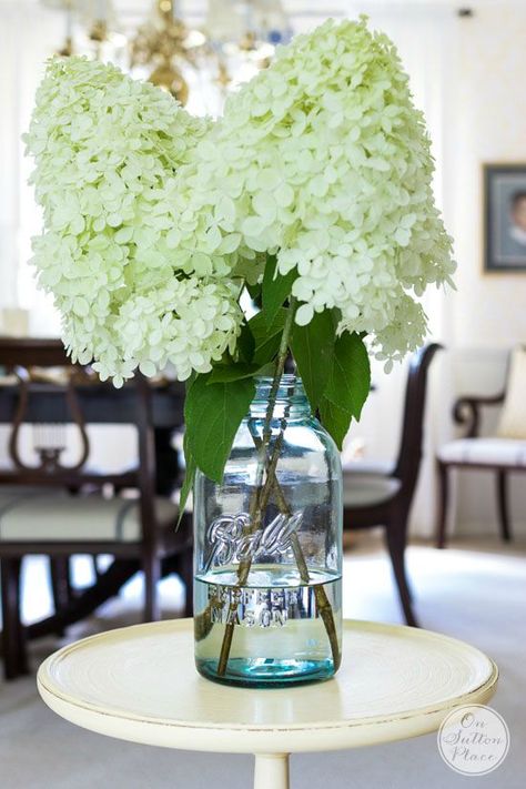 Growing Limelight Hydrangeas - On Sutton Place Limelight Hydrangeas, A Time For Everything, Hydrangea Vase, Valentine's Wreath, Dried Arrangements, Flower Garden Plans, Limelight Hydrangea, French Vintage Decor, Vases Vintage