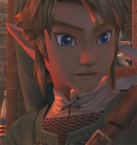 Zelda Screenshots, Twilight Princess, The Legend Of Zelda, Blog Photo, Legend Of Zelda, Art Blog, My Art, Zelda, Blonde