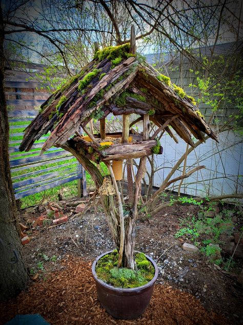 Tree Branch Bird Feeder, Multi Bird Feeder Station, Bird Feeding Stations Ideas, Wildlife Feeding Station, Bird Feeder Area, Bird Station Ideas, Birdfeeder Station Diy, Diy Bird Feeding Station, Crow Feeding Station