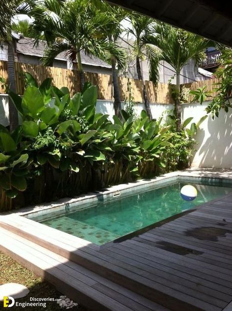 41+ Stunning Garden Pool Designs For Your Backyard | Engineering Discoveries Houston Tropical Landscaping, Garden Pool Design, Backyard Pool Ideas, Landscaping Backyard, Tropical Garden Design, Bali House, Small Swimming Pools, Cheap Backyard, Pool Landscape Design