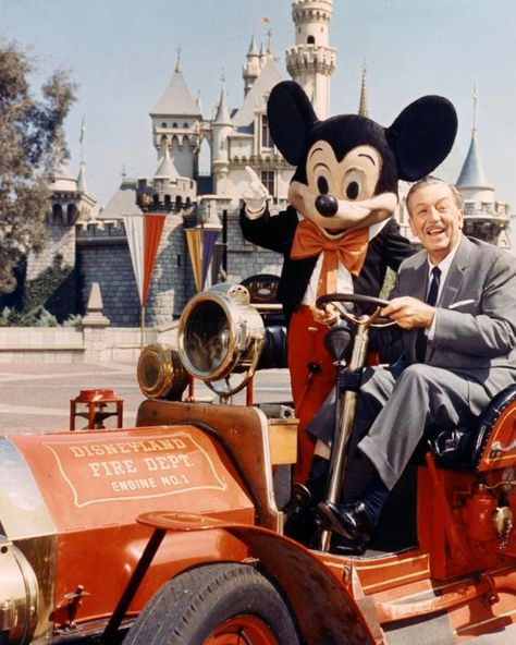 Former Disneyland photographer shares decades worth of stories, photos, including iconic ones of Walt – Orange County Register Disney Core, Disneyland Vintage, Walter Elias Disney, Disneyland Photos, Disney Wallpapers, Retro Disney, Images Disney, Cute Disney Pictures, Disney Collage