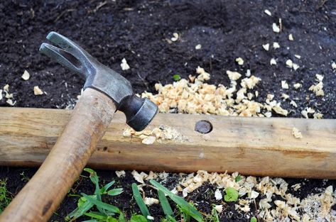 Timber Garden Edging, Diy Garden Edging, Landscape Timber Edging, Wood Garden Edging, Fun Garden Projects, Garden Edger, Wood Edging, Landscape Timbers, Diy Garden Fence