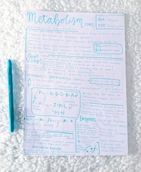 Metabolism Notes, Nursing School Essential, A Level Biology, Neat Handwriting, Reactive Oxygen Species, Aesthetic Notes, Teaching Biology, Nursing School Notes, Science Notes