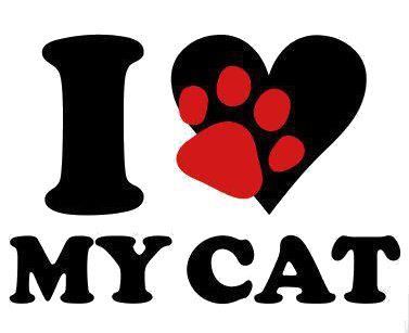 ^. .^ Wire Jewerly, Sam And Cat, Cat Signs, Cat Icon, Cat Valentine, Beautiful Animals, 가을 패션, Crazy Cat Lady, My Cat