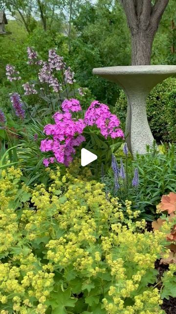 Hydrangea Pinky Winky, Tiered Garden, Coral Bells, 2 Number, Afternoon Sun, Design Rules, Happy Today, Garden Bed, Landscape Projects