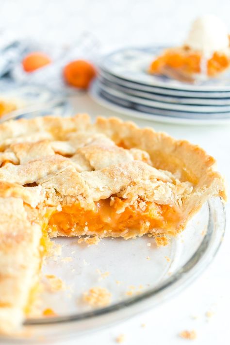 This apricot pie is made with sweet apricots, a hint of coriander, and the easiest homemade pie crust! Easy and one of the best best pies you'll ever taste! Homemade Pie Crust Easy, Apricot Desserts, Apricot Crumble, Apricot Dessert, Oil Pie Crust, Apricot Slice, Apricot Pie, Best Pies, Apricot Tart