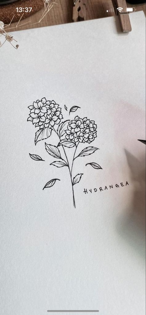 Hortensia Flower Drawing, Hortensia Flower Tattoo, Fine Line Tattoo Hydrangea, Black Hydrangea Tattoo, Hydrangea Spine Tattoo, Hydrangea Line Tattoo, Hydrangea Rib Tattoo, Dainty Hydrangea Tattoo, Hydrangea Tattoo Small Black