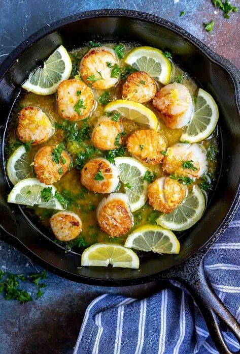 seared scallops with lemon slices in cast iron pan Seared Scallops Recipe, Butter Scallops, Lemon Garlic Butter Sauce, Scallops Recipe, How To Cook Scallops, Pan Seared Scallops, Seared Scallops, Scallop Recipes, Garlic Butter Sauce