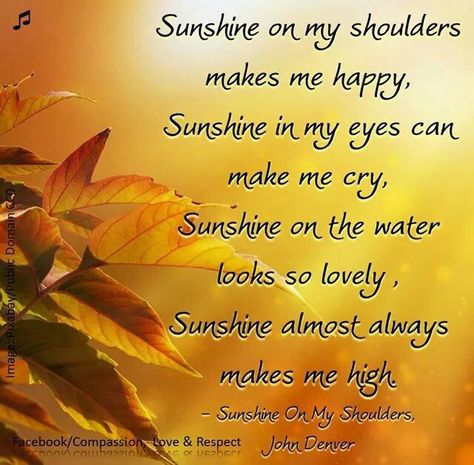 Sunshine on my shoulder makes me happy... Sunshine On My Shoulders, I Love The Beach, Favorite Lyrics, Beach Quotes, Search Engines, Love And Respect, Music Love, Lyric Quotes, The Sunshine