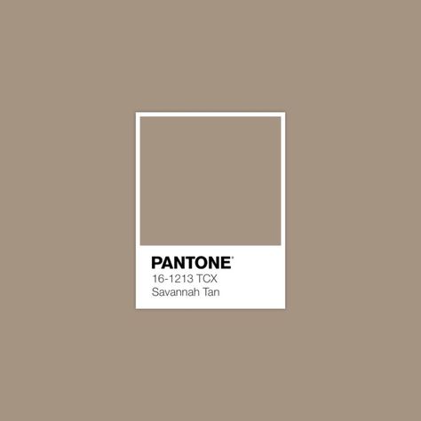 Pantone 16-1213 TCX Savannah Tan • Concealing Coloration • Savanah Tan, Pantone Palette, Pantone Colours, Pantone Colors, Pantone, Kangaroo, Ganache, Fired Black, Colour Scheme, Colour Inspiration, Color Scheme, Color Palette, Cement, Camouflage • Download Free Adobe Illustrator Palette in .ase • #pantone #pantonecolor #fashionforecast #fashionforecaster #colortrends #colourschemes #patterncollection #colorpalettes #colorschemes #colourtrends #colourpallette Light Taupe Color, Pantone Swatches, Pantone Palette, Color Pantone, Pantone Colour Palettes, Barbie Coloring Pages, Pantone Colors, Colour Board, Color Swatch