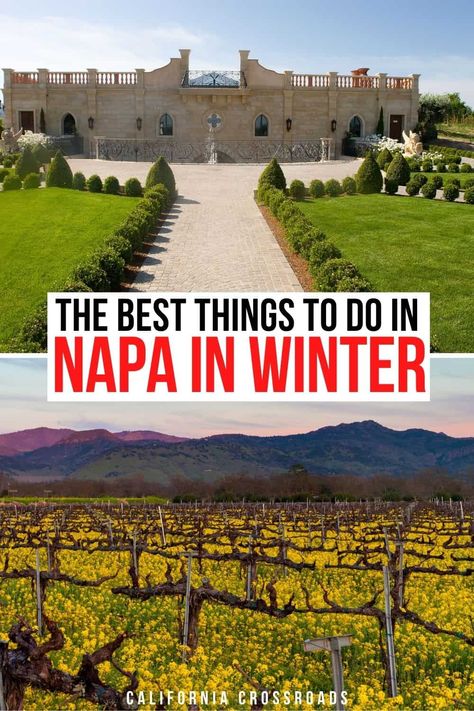 Napa Valley In January, Napa Valley In December, Outfits For Napa Valley Winter, Napa Valley December, Napa In January, Napa In December, Napa Winter Outfit Wine Country, Napa Valley Winter Outfit, Winter Napa Valley Outfit