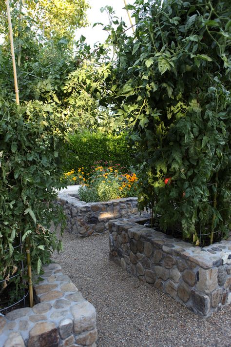 Stone raised beds Stone Raised Beds, Terraced Backyard, Garden Goals, Backyard Dreams, Garden Border, Diy Raised Garden, Potager Garden, Growing Veggies, Vegetable Gardens