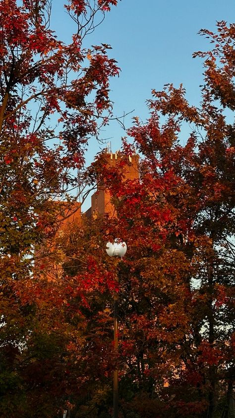 Fall in new york. Foliage aesthetic. Autum aesthetic. Halloween. gloomy day #october #foliage #newyork #fall #autumncolors #wallpaper #fallaestheticbackground Foliage Aesthetic, Fall In The City, Fall In New York, Aesthetic Halloween, Gloomy Day, Aesthetic Backgrounds, Fall Colors, The City, New York