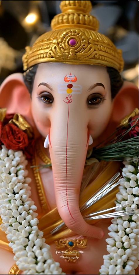 Ganesh Pic, Ganpati Photo Hd, Photos Of Ganesha, Ganpati Bappa Wallpapers, Ganpati Bappa Photo, Ganesh Lord, Shri Ganesh Images, Happy Ganesh Chaturthi Images, Ganesh Chaturthi Images