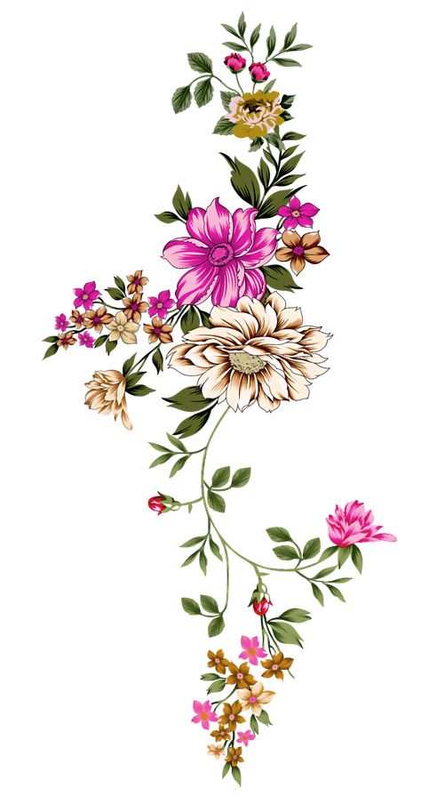 Wallpaper Backgrounds Flowers, Flowers Animated, Backgrounds Flowers, Hd Flowers, Botanical Flowers Print, Botanical Flower Art, Floral Ornament, Floral Border Design, Flower Art Images