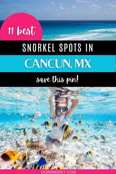 Best Snorkeling in Cancun Occidental Xcaret Mexico, Life Size Statues, Best Snorkeling, Snorkeling Gear, Hidden Beach, Enjoying The Sun, Caribbean Sea, Colorful Fish, Cozumel