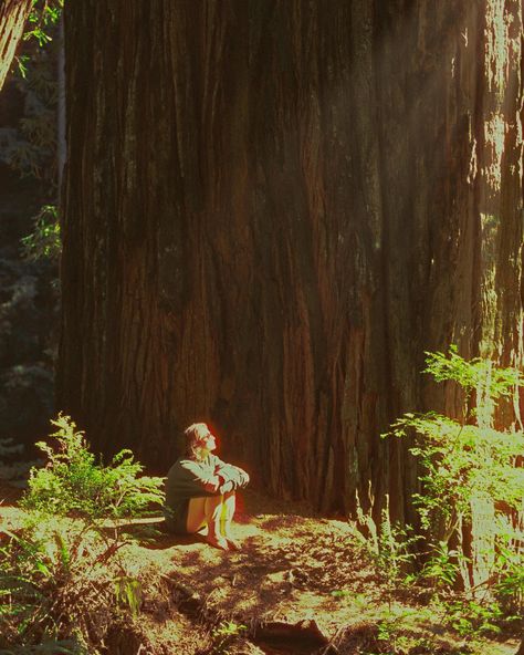 Shinrin-Yoku 📷: Nikon FE @nikonusa 🎞️: @cinestillfilm #400d The term “Shinrin-yoku,” meaning “forest bathing” in Japanese, may have been coined in 1982 by Tomohide Akiyama, director of the Japanese Ministry of Agriculture, Forestry and Fisheries. But the connection between nature and well-being stretches back centuries! Shinto and Buddhist traditions have long revered forests as sacred spaces for peace and rejuvenation. Bring that sense of serenity home with my limited-edition “Shinrin-y... Nikon Fe, Calming Images, Shinrin Yoku, Buddhist Traditions, Sacred Spaces, Forest Bathing, Sacred Space, 35mm Film, Agriculture