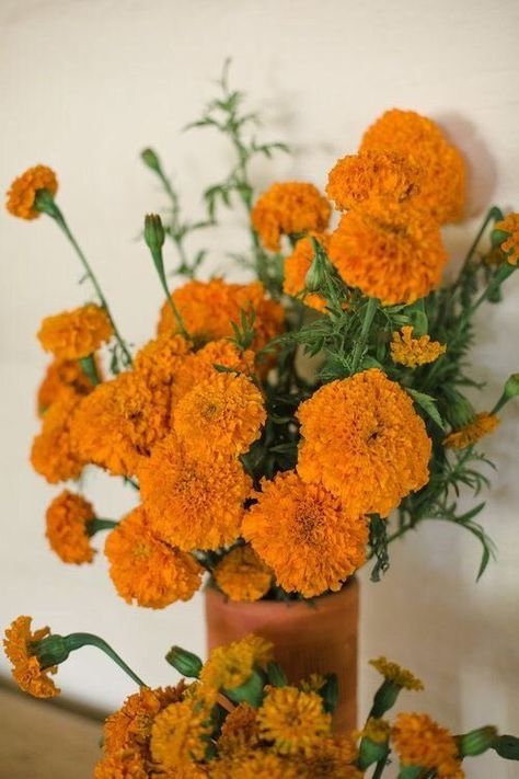 Flowers 🌺 on Twitter: "… " Orange Marigold Bouquet, Marigold Flowers Wedding, Marigold Wedding Bouquet, Marigolds Aesthetic, Marigold Flower Aesthetic, Marigold Aesthetic, Marigold Flower Decoration, Marigold Bouquet, Marigold Decor