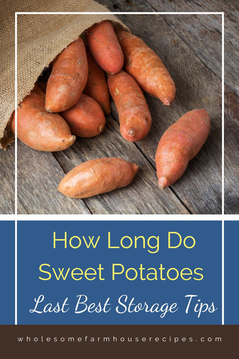 cleaned sweet potatoes in a gunny sack ready for storage Nutritious Vegetables, 2024 Meals, Potato Storage, Cooking Sweet Potatoes, Storage Tips, Nitty Gritty, Stay Fresh, Preserving Food, Budget Meals