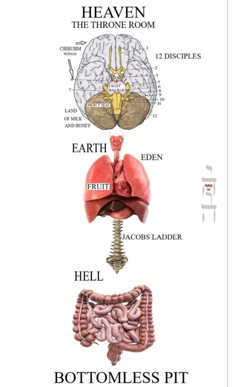 Gnosticism Art, Moorish Science, Zen Mode, Kemetic Spirituality, Spiritual Science, Spiritual Awakening Signs, Ancient History Facts, Sacred Science, Jacob's Ladder