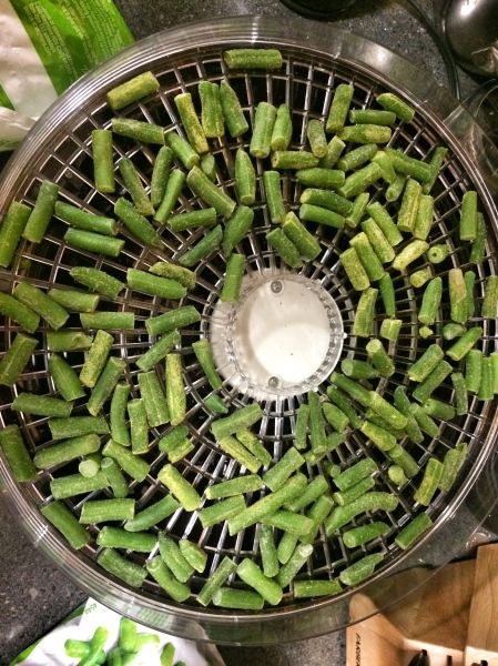 Homemade Dog Chews, Dehydrated Green Beans, Bean Diet, Air Fried Green Beans, Healthy Green Beans, Delicious Green Beans, Crispy Green Beans, Dog Treat Business, Dog And Human