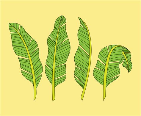 Banana Leaves Drawing, Leaves Drawing, Leaf Skeleton, Leaf Vector, Leaves Illustration, Leaf Drawing, Leaves Vector, Banana Leaves, Hand Art Drawing