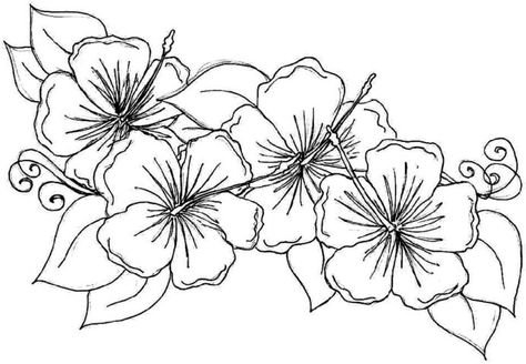 Spring Coloring Sheets, Flowers Coloring Pages, Printable Flower Coloring Pages, Family Coloring Pages, Flowers Coloring, Farm Animal Coloring Pages, Spring Coloring Pages, Valentines Day Coloring, Hawaiian Flower