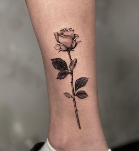 rose tattoo Long Stem Rose Tattoo Design, Red Line Rose Tattoo, Rose Tattoo With Shading, Stem Rose Tattoo Design, Tattoo Ideas For Men Rose, Stemmed Rose Tattoo, Simple Rose Tattoo Design, Thorny Rose Tattoo, Two Roses Tattoo Design