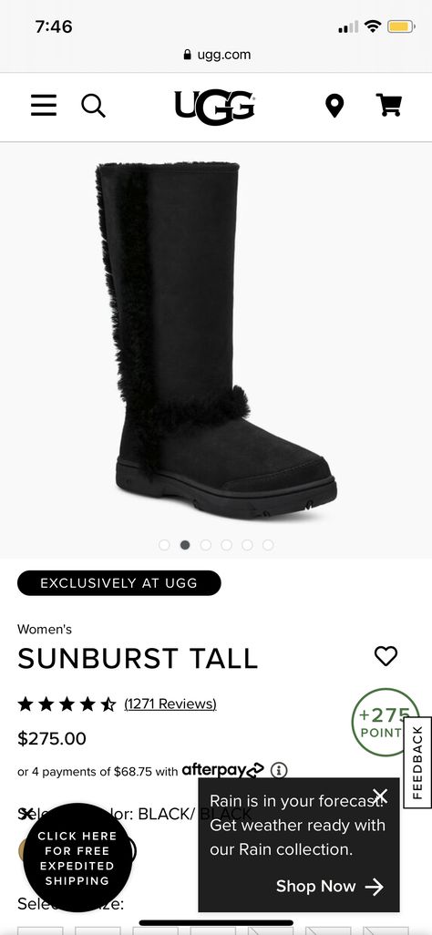 Sunburst Uggs, Rain Collection, Womens Uggs, All Black Sneakers, Shop Now