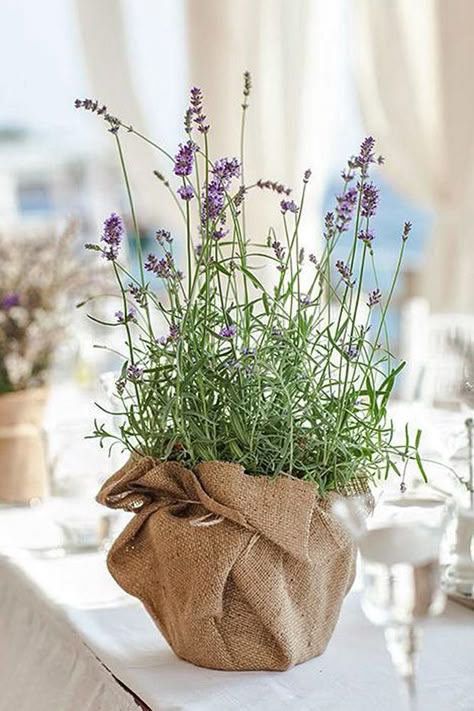 rustic wedding centerpieces bouquet of lavender in natural linen sack on the table philip andrukhovich photographer Deco Champetre, Succulent Centerpieces, Rustic Wedding Decorations, Unique Wedding Flowers, Wedding Floral Centerpieces, Rustic Wedding Centerpieces, Wedding Centerpieces Diy, Flower Centerpieces Wedding, Lavender Wedding