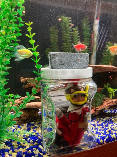 Elf Fish Tank, Elf On The Shelf Fish Tank, Fishing Elf On The Shelf, Elf Fishing, Elf 2024, Angry Elf, Awesome Elf On The Shelf Ideas, Elf Activities, Turtle Tank