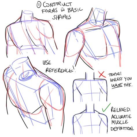 How To Draw Male Shoulders, Anatomy Shoulder Drawing, How To Draw A Shoulder, How To Draw Head And Shoulders, Gripping Shoulder Reference, Shoulder Up Reference, Shoulder Angles Reference, How To Draw Chest Male, Hunched Shoulders Reference