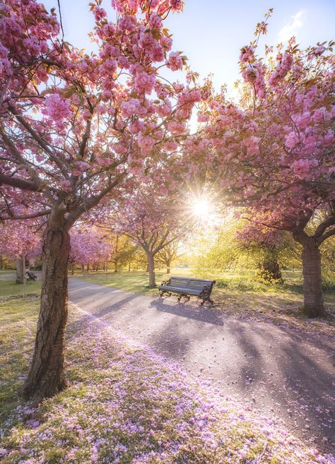 Ideas For Spring, Season Aesthetic Spring, Spring Aesthetic Landscape, Pretty Places Aesthetic, Spring Pictures Nature, March Asthetic Picture, Spring Views Nature, Season Spring Nature, Spring Aesthetic City