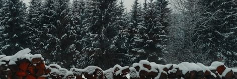 Winter Banner Twitter, Winter Twitter Header Aesthetic, Winter Twitter Header, Christmas Twitter Header, Christmas Banner Discord, Light Header, Christmas Twitter Headers, Cool Twitter Headers, Christmas Header