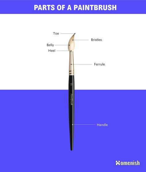 A paintbrush is a tool used for applying paint. It is typically made by fastening the bristles to a wooden or plastic handle with the help of a ferrule. This tool can be subdivided into two categories, which are decorators’ brushes and artists’ brushes. Here we’ll discover every major part of a paintbrush. Art Terminology, Latex Paint, Oil Painters, Water Based Paint, Teaching Art, Paint Brushes, Art Inspo, Wall Painting, Visual Art