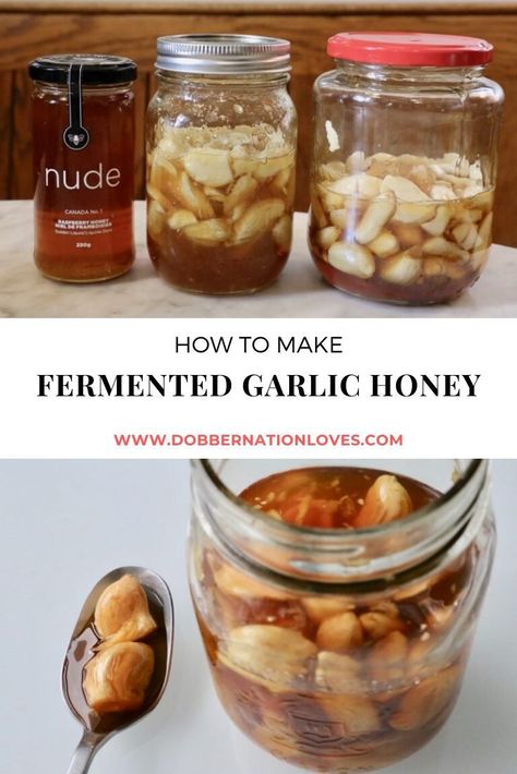 Garlic And Honey Benefits, Fermented Garlic Honey, Fermented Garlic, Fermented Honey, Garlic Honey, Garlic Benefits, Fermentation Recipes, Honey Benefits, Food Medicine