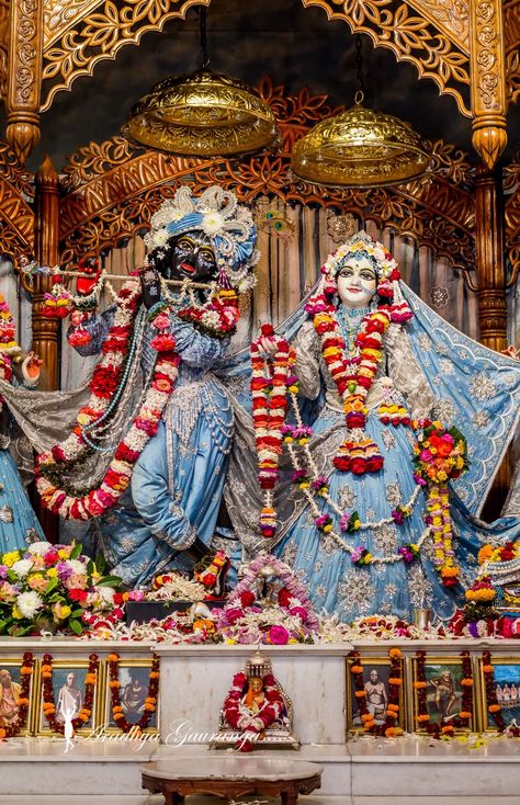 Iskcon Mayapur, Vrindavan Photography Pictures, Iskcon Krishna, Radhe Krishna Wallpapers, Shree Krishna Wallpapers, Sri Radha, Krishna Book, Little Krishna, Lord Krishna Hd Wallpaper