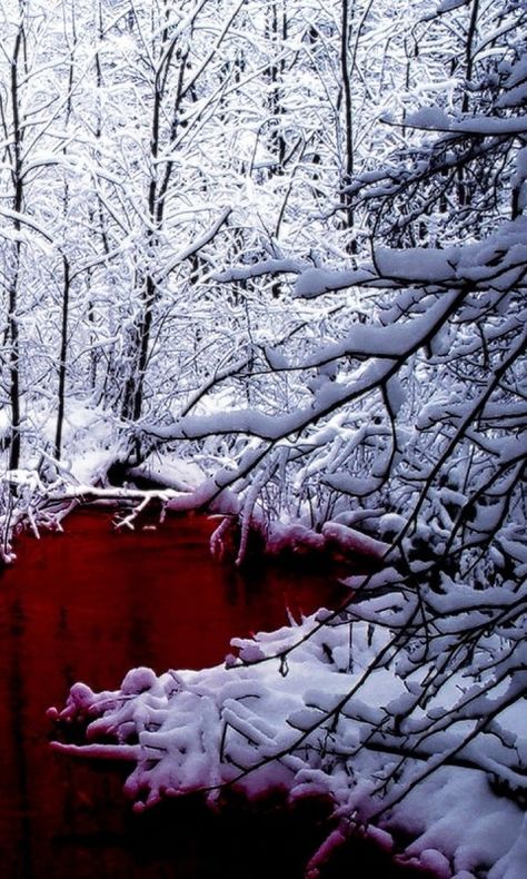 Blood On Snow, August Wallpaper, Blood Wallpaper, Wallpaper 2024, Blood Art, 다크 판타지, Wallpapers Iphone, Red River, Dark Photography