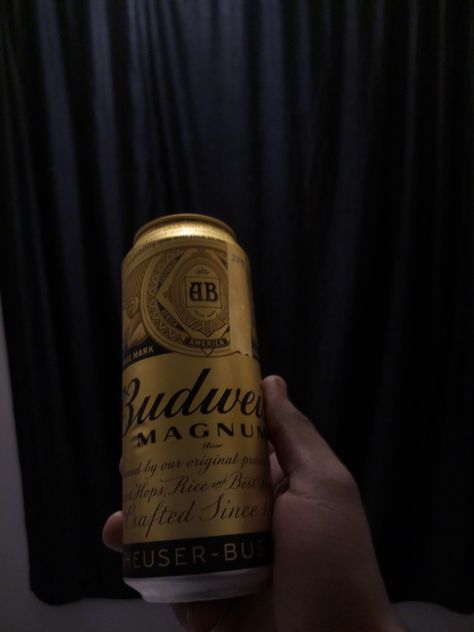 Chilled Budweiser strong is damn good to have. Craving wala feel Room Snapchat, Hospital Room Snapchat Stories, Budweiser Beer, Hospital Room, Alcohol Aesthetic, Snap Food, Tito's Vodka Bottle, Snapchat Stories, Soft Drinks