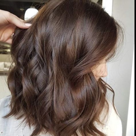 Medium Brown Hair With Light Brown, Chocolate Mocha Hair Color Balayage, Hair Color Mocha Brown, Light Brown Hair Single Color, Brown Hair Colors Chestnut, Medium Chestnut Brown Hair Color, Solid Brown Hair Color Light, Level 3 Brown Hair, Brown Hair Colors Chocolate Medium