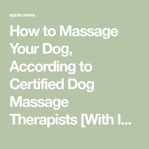 How to Massage Your Dog, According to Certified Dog Massage Therapists [With Instructional Video] Dog Massage How To, Dog Massage Techniques, Dog Massage, Massage Techniques, Massage Therapist, Instructional Video, Massage, Dogs